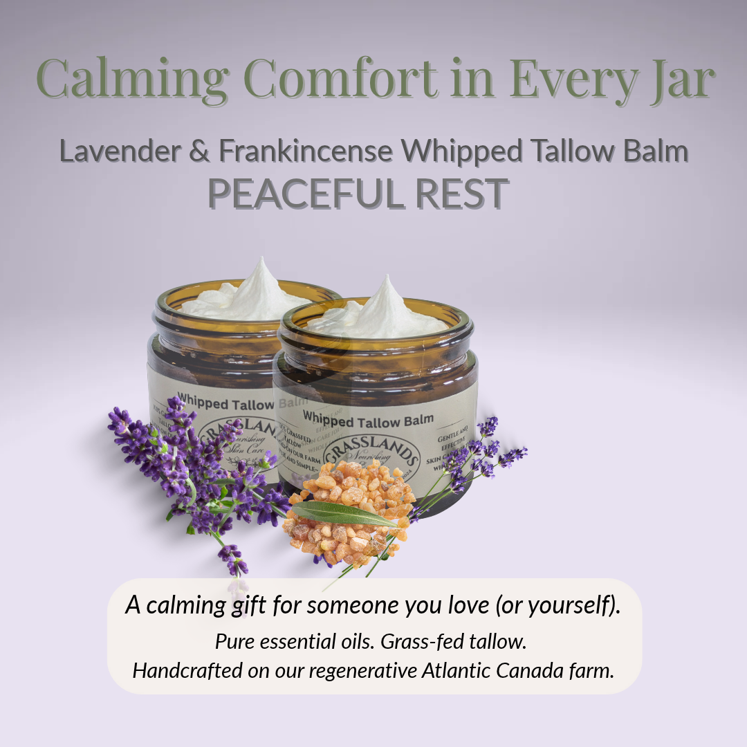 Whipped Tallow Balm