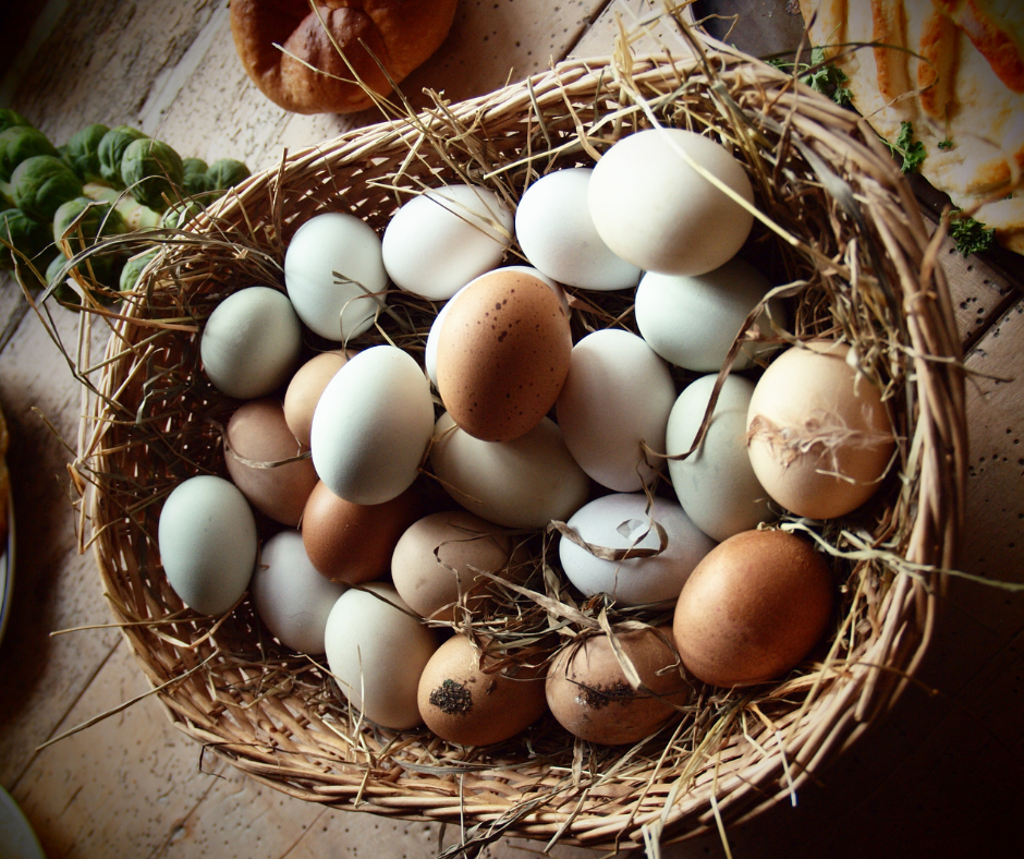 Pasture Raised Eggs Bunnett Green Meadows Farm 