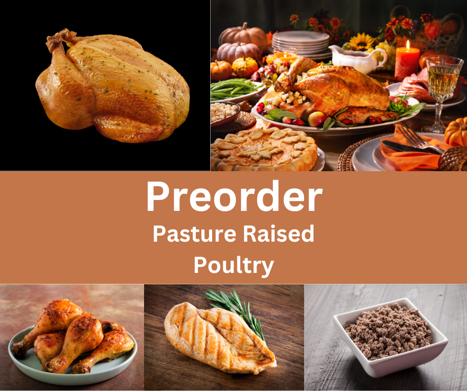 PRE-ORDER Pastured Turkey